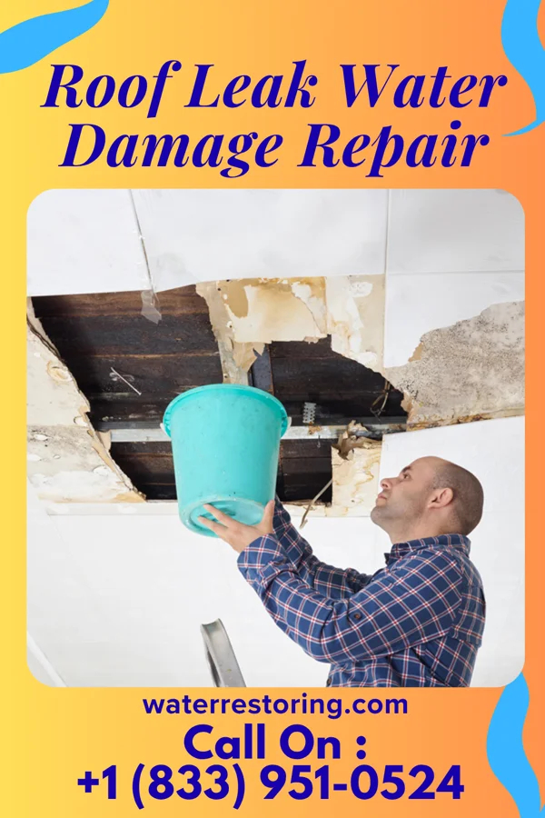 Roof Leak Water Damage Repair in Essex Village, CT